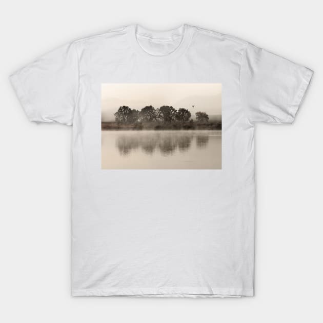 Lake View T-Shirt by kerensegev